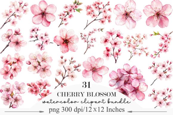 Download Watercolor Cherry Blossom Clipart - Clipart Collection