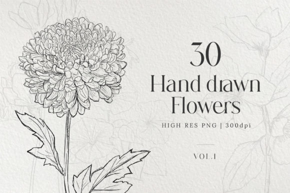Download Hand Drawn Flowers Bundle - Hand drawn flowers Collection