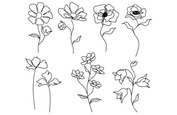 Download Collection of Hand Drawn Flowers - Hand drawn flowers Collection