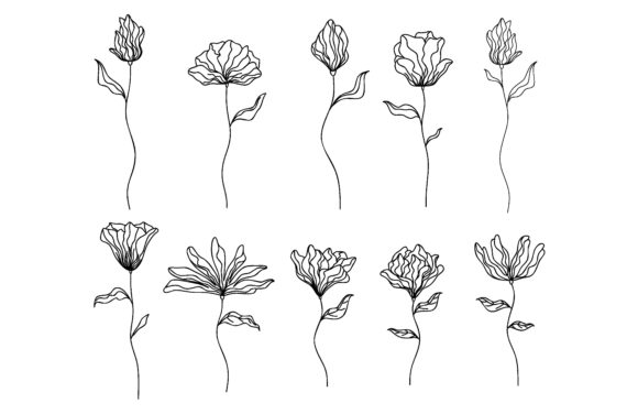 Download Collection of Hand Drawn Flowers - Hand drawn flowers Collection